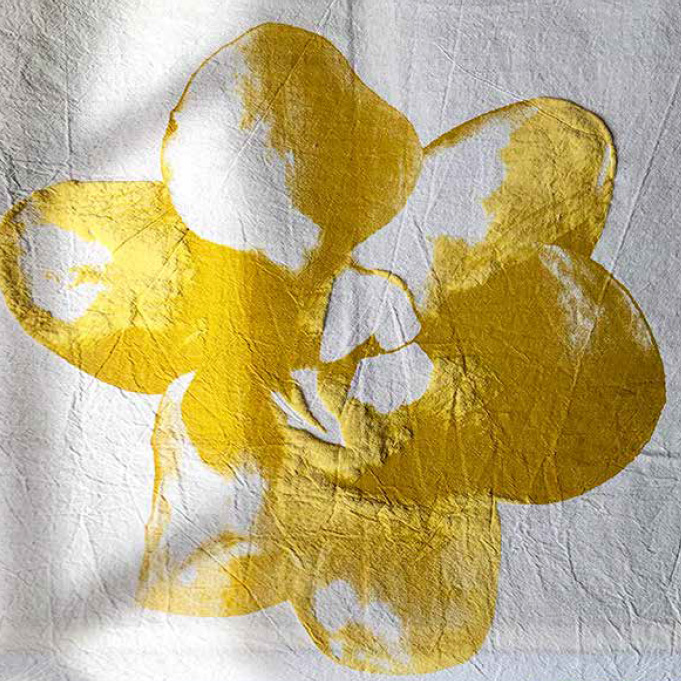 fotografia taquicardia