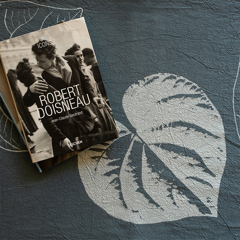 Camino piper cezanne